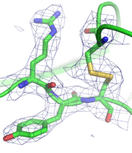 X-Ray Crystallography and Molecular Structure